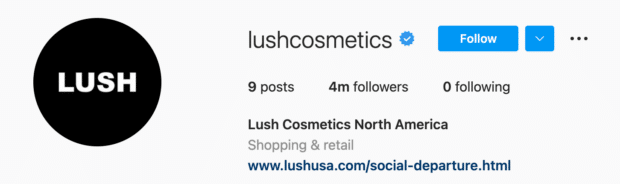 郁郁葱葱的化妆品Instagram Bios
