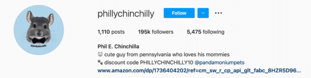 Phillychinchilly Instagram生物